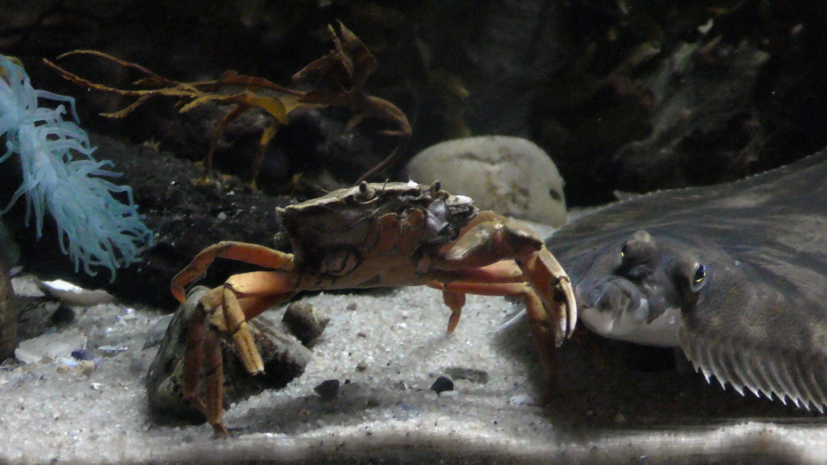 09-12-2015_144800p_Bildgr��e �ndern