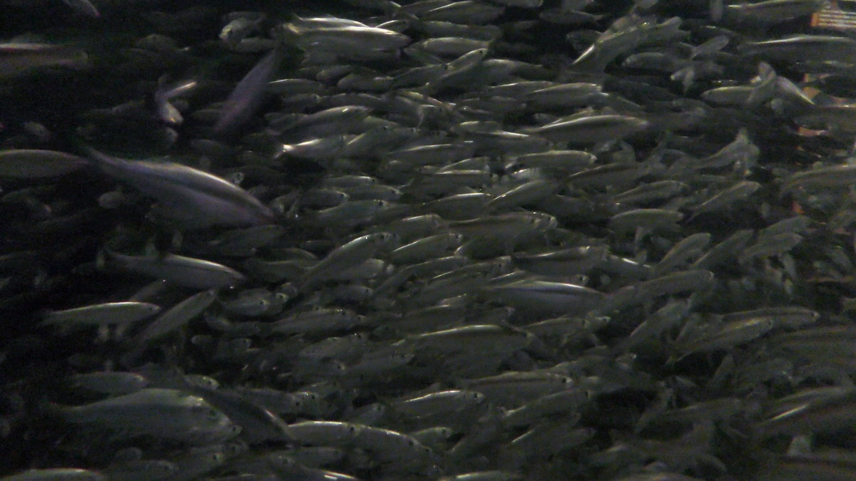 09-12-2015_144845p_Bildgr��e �ndern