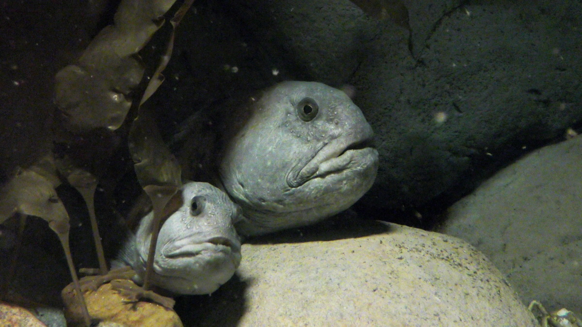 09-12-2015_145015p_Bildgr��e �ndern