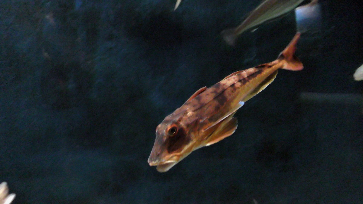 09-12-2015_145042p_Bildgr��e �ndern