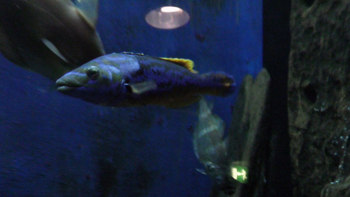 09-12-2015_145144(1)p_Bildgr��e �ndern