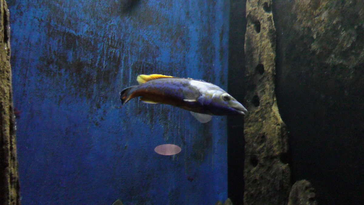 09-12-2015_145144(2)p_Bildgr��e �ndern