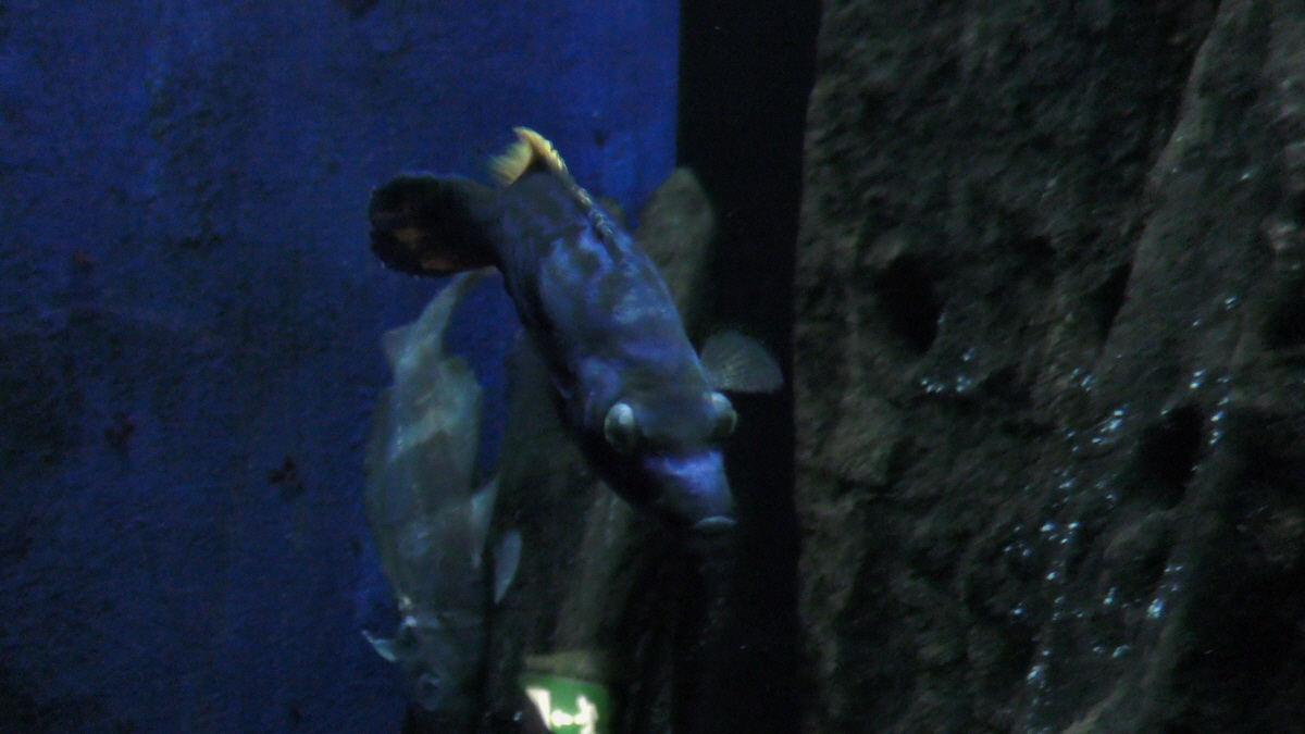 09-12-2015_145144p_Bildgr��e �ndern