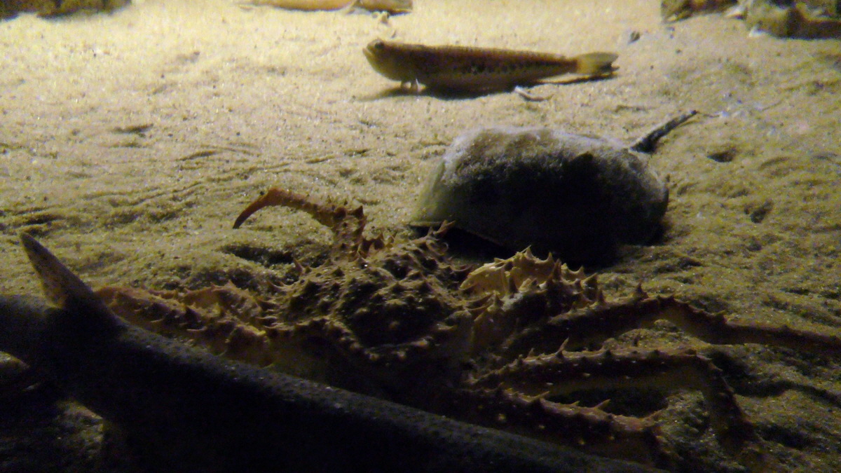 09-12-2015_145222p_Bildgr��e �ndern