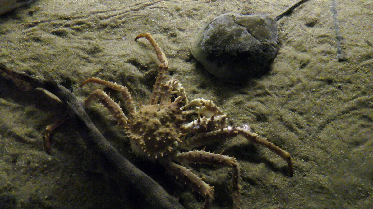 09-12-2015_145250(1)p_Bildgr��e �ndern