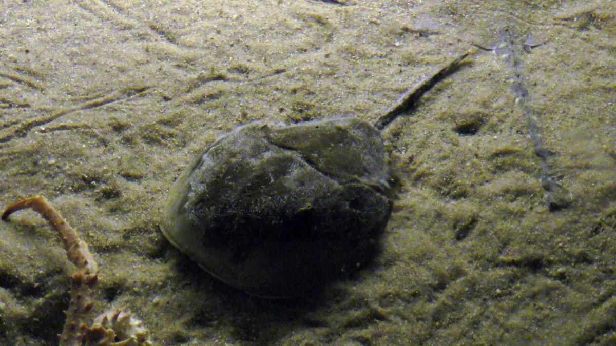 09-12-2015_145250p_Bildgr��e �ndern