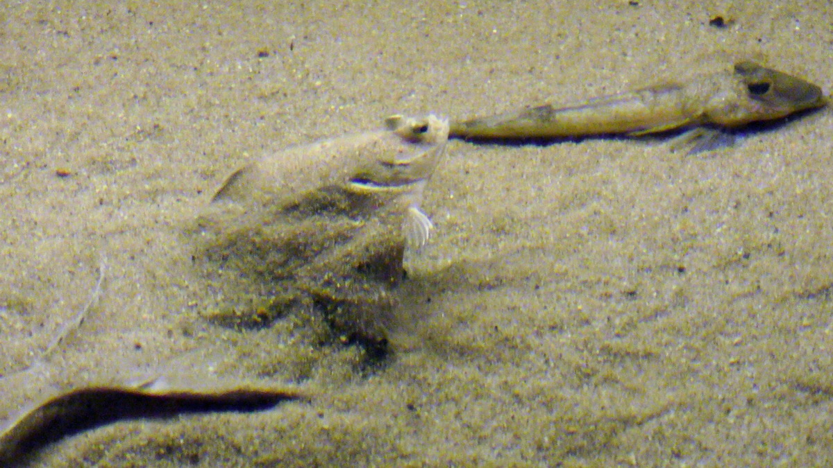 09-12-2015_145322(1)p_Bildgr��e �ndern