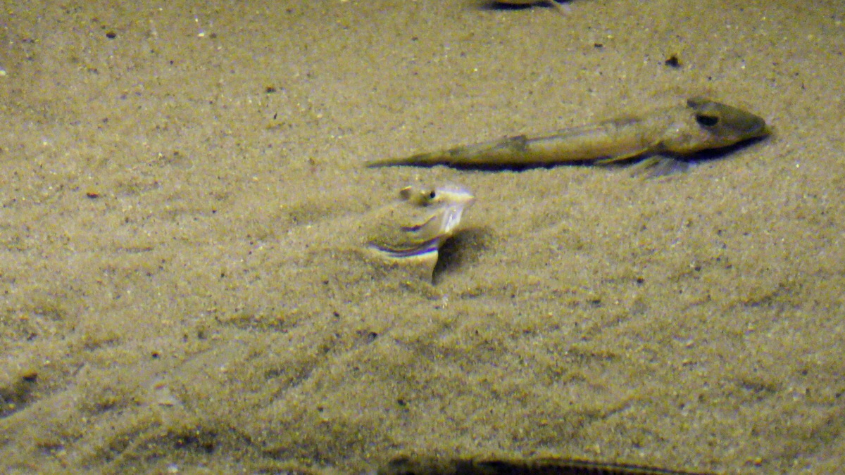 09-12-2015_145322p_Bildgr��e �ndern