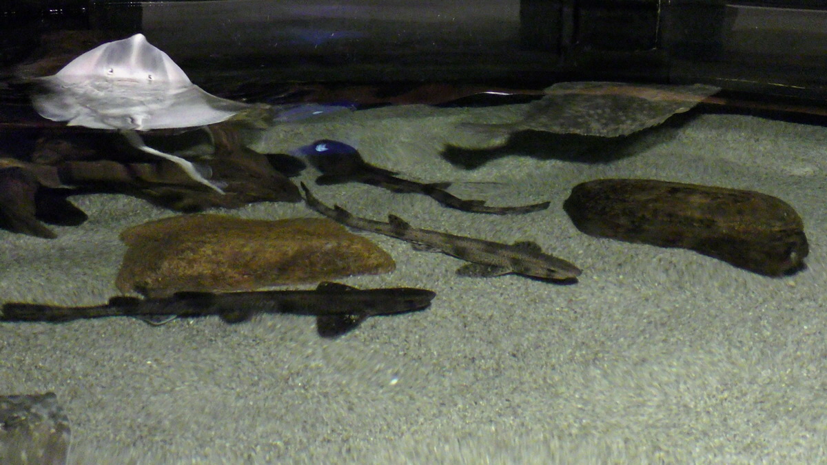 09-12-2015_145739p_Bildgr��e �ndern