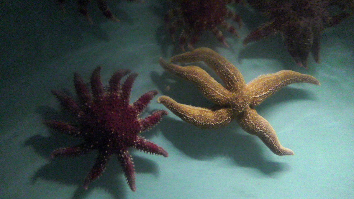 09-12-2015_145900p_Bildgr��e �ndern