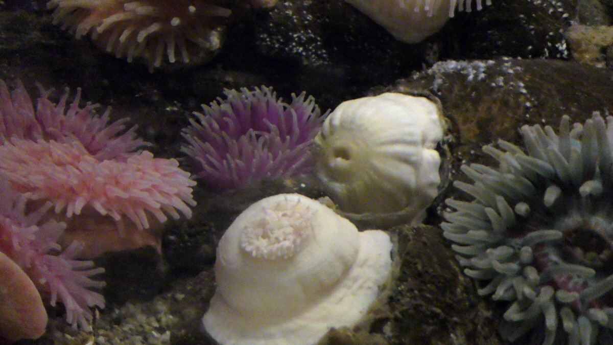 09-12-2015_150002(1)p_Bildgr��e �ndern