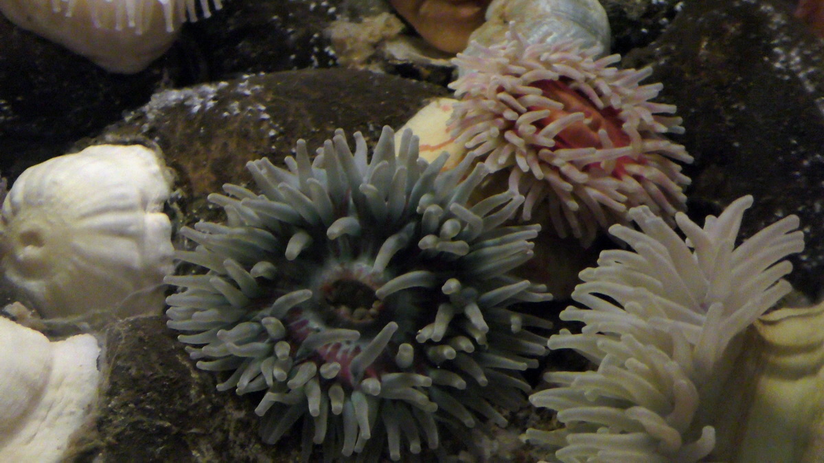 09-12-2015_150002(2)p_Bildgr��e �ndern