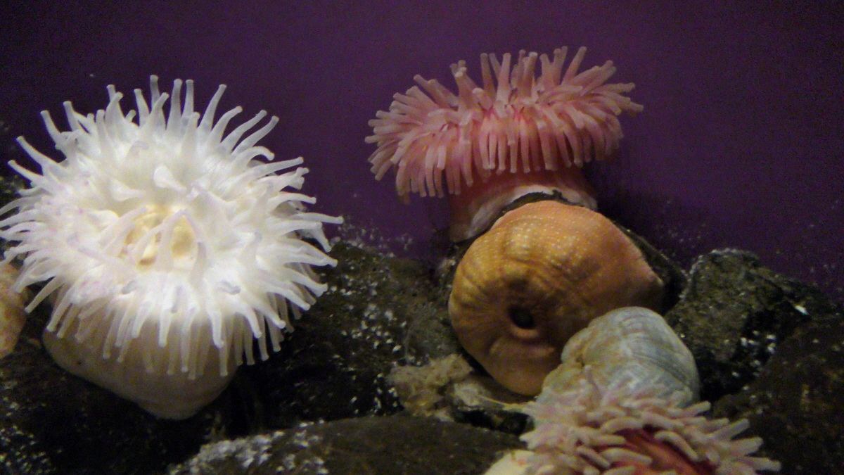 09-12-2015_150002(3)p_Bildgr��e �ndern