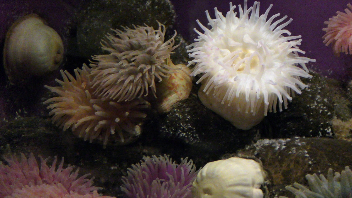 09-12-2015_150002p_Bildgr��e �ndern