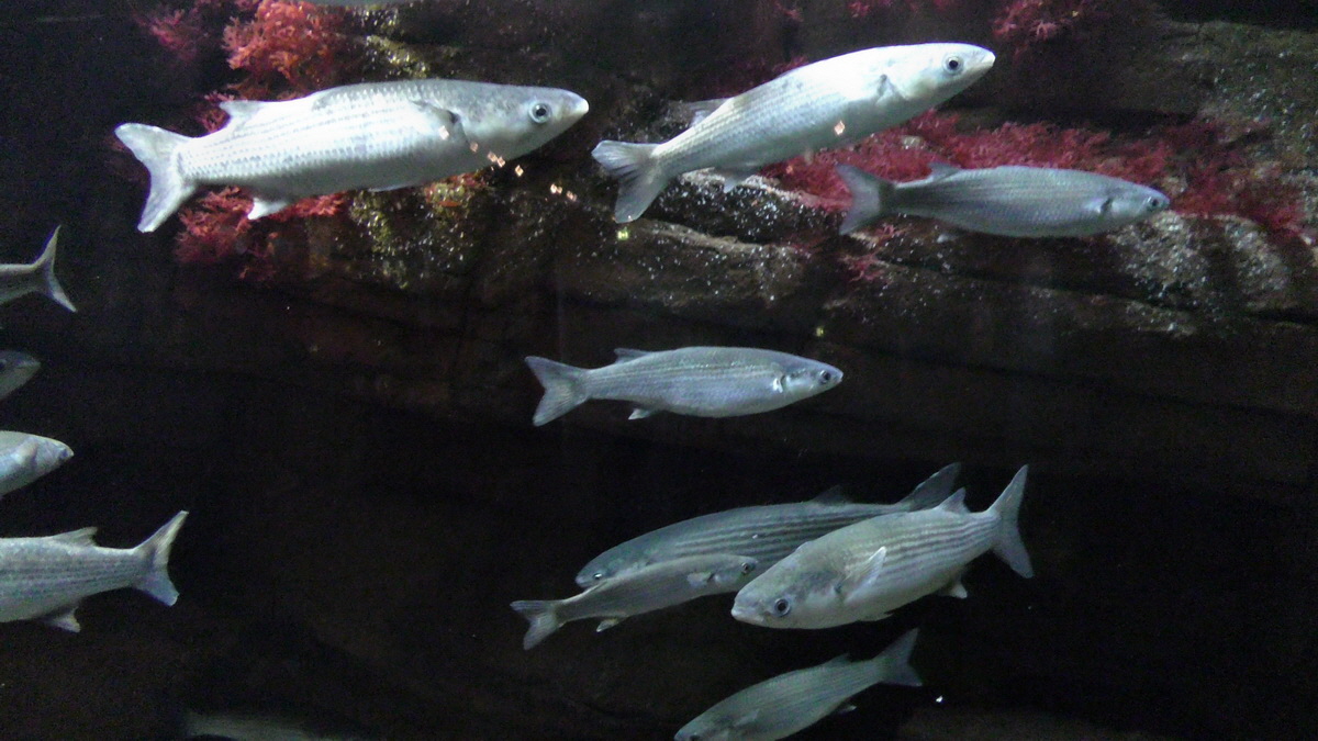 09-12-2015_150237p_Bildgr��e �ndern