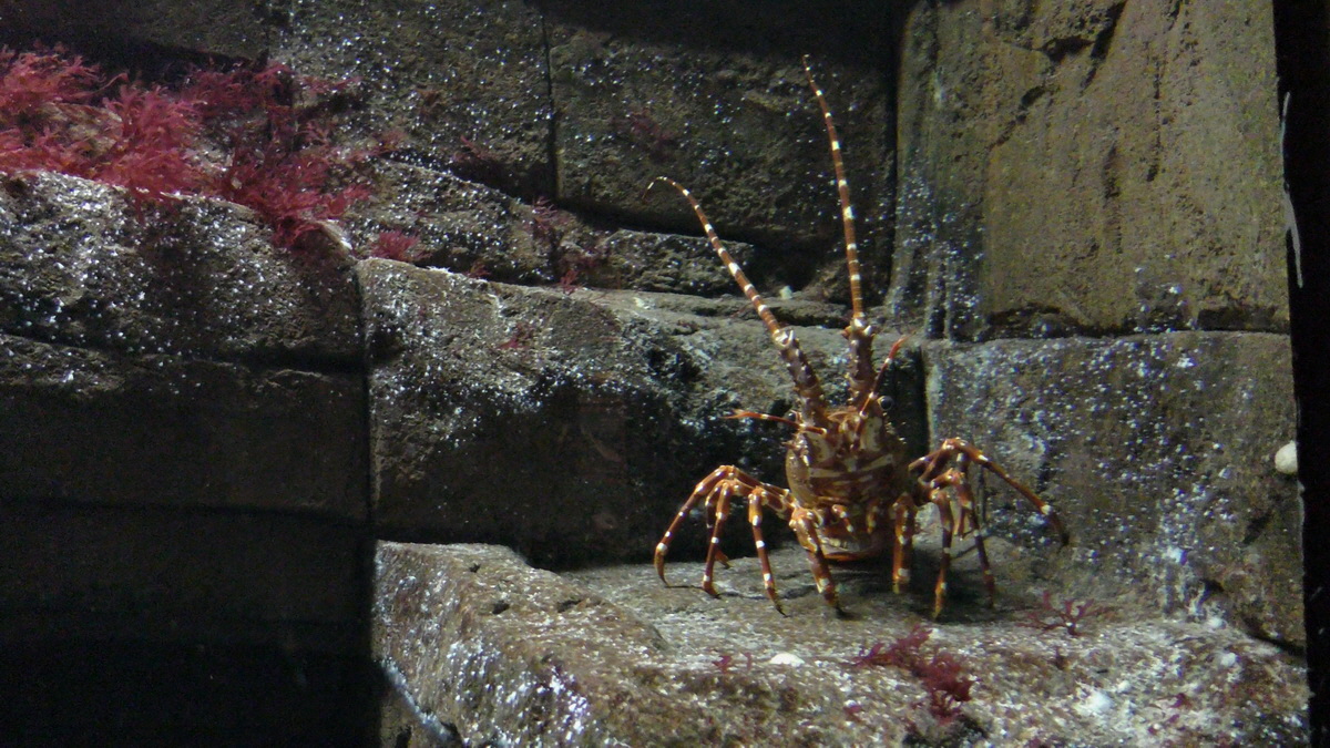 09-12-2015_150337p_Bildgr��e �ndern