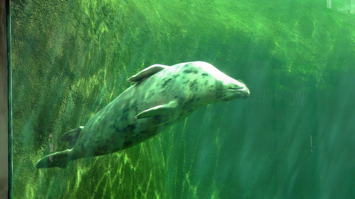 09-12-2015_151308(1)p_Bildgr��e �ndern