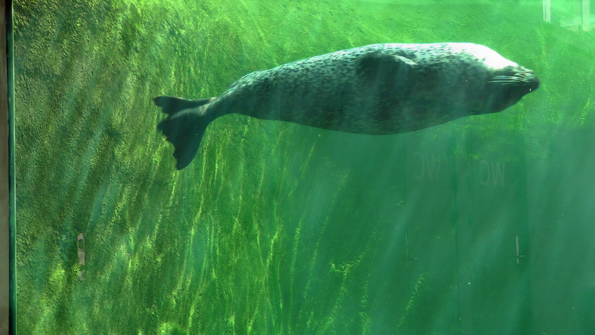 09-12-2015_151308(2)p_Bildgr��e �ndern