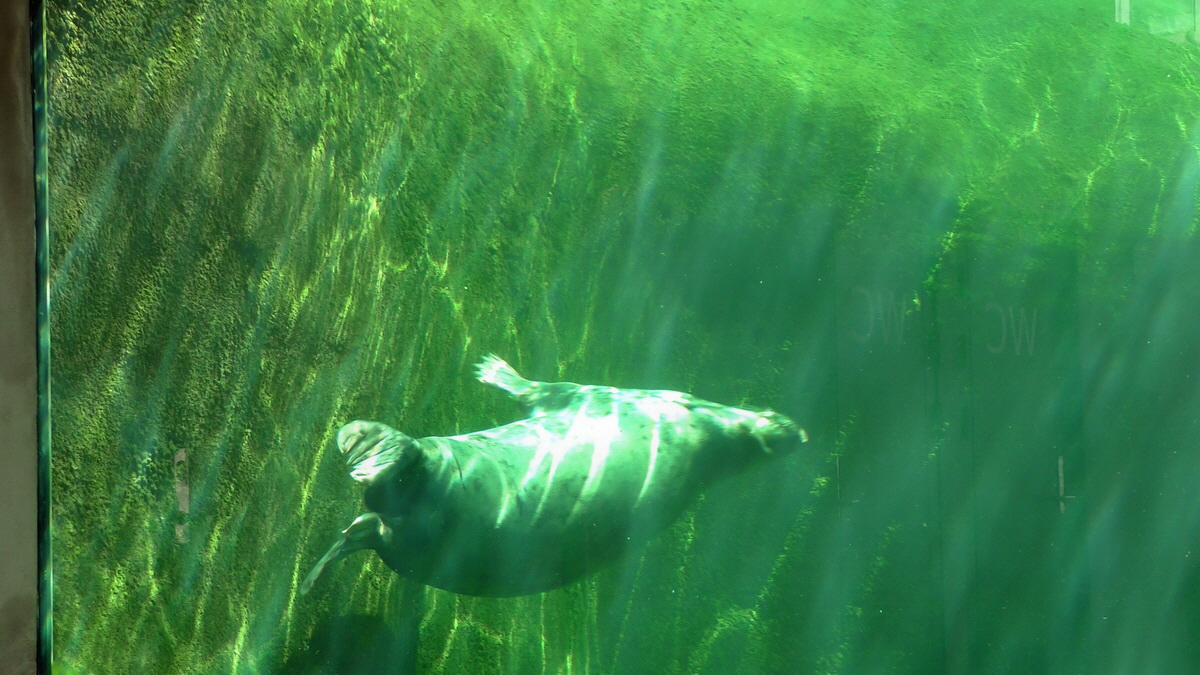 09-12-2015_151308p_Bildgr��e �ndern