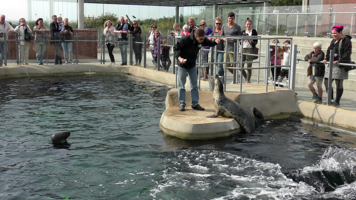 09-12-2015_153316(1)p_Bildgr��e �ndern