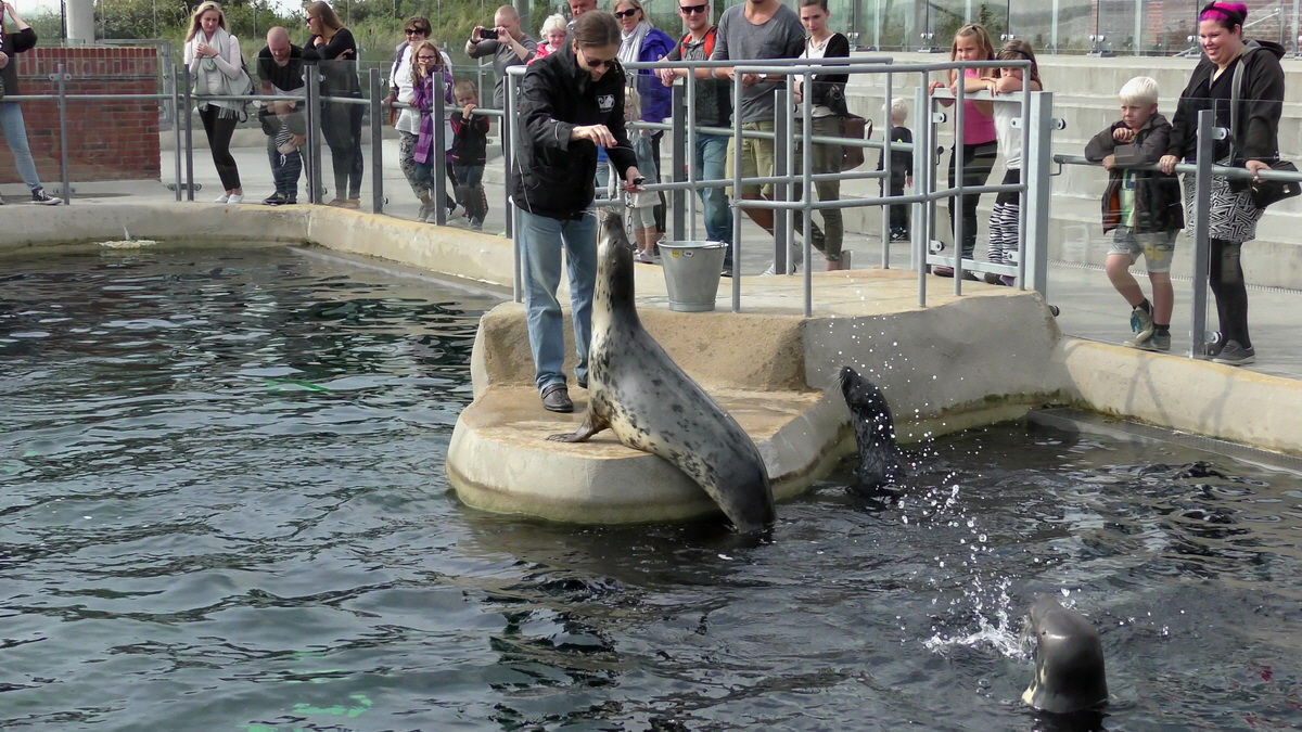 09-12-2015_153316(2)p_Bildgr��e �ndern