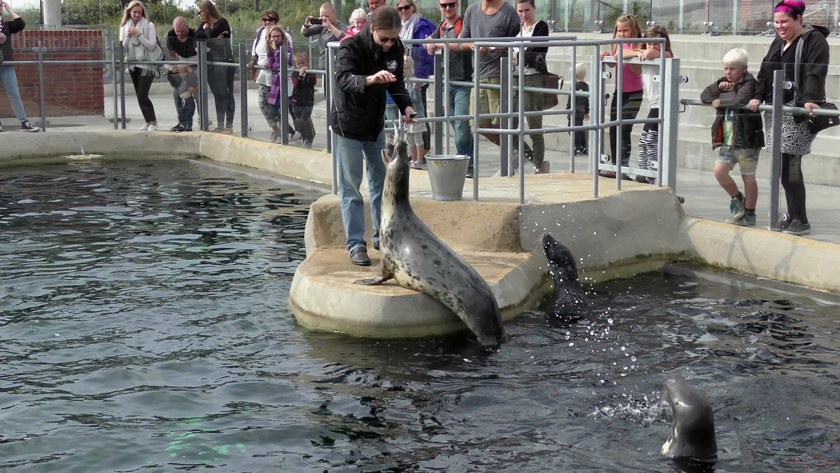 09-12-2015_153316(3)p_Bildgr��e �ndern