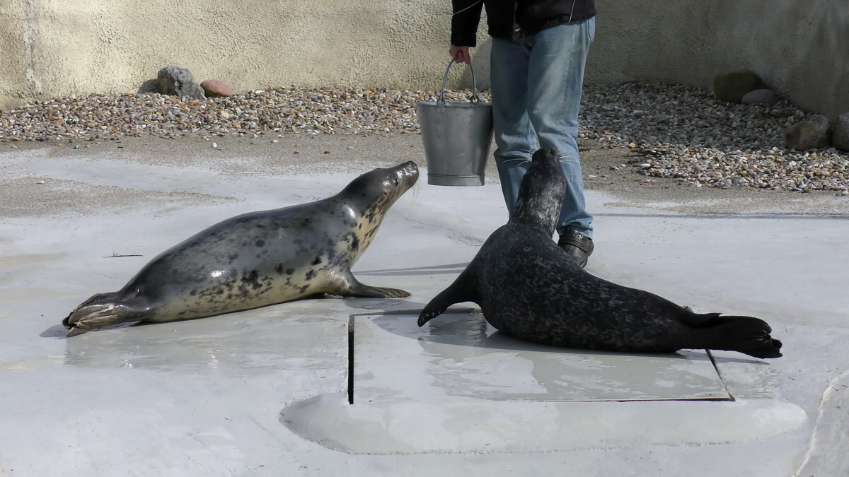 09-12-2015_153924(1)p_Bildgr��e �ndern