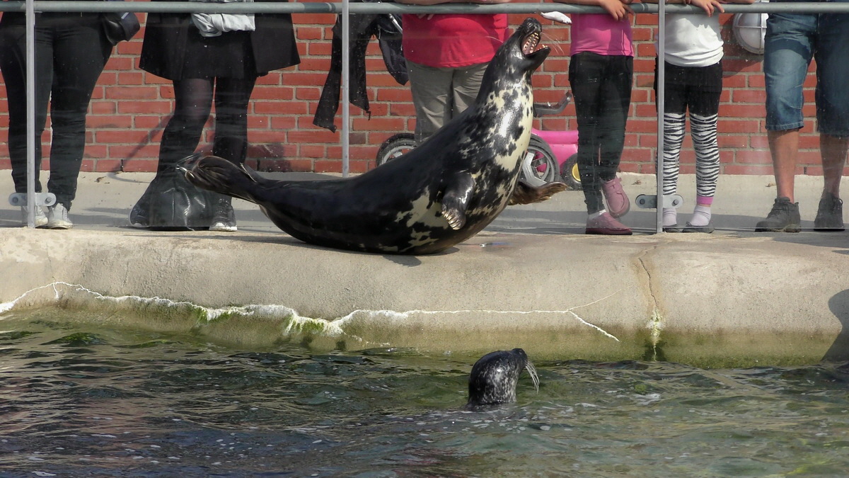 09-12-2015_153924(10)p_Bildgr��e �ndern