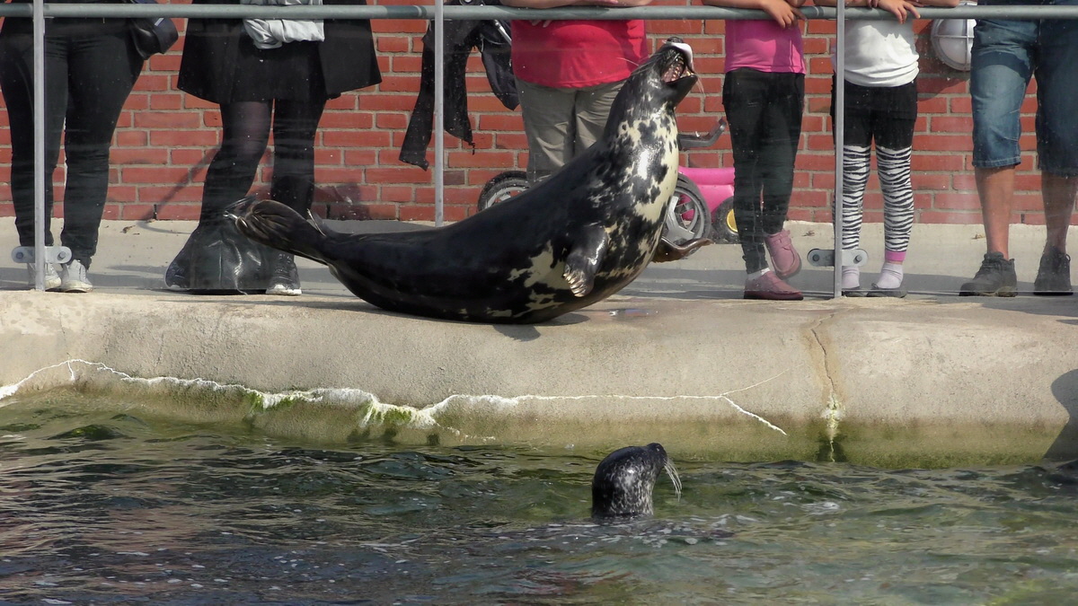 09-12-2015_153924(11)p_Bildgr��e �ndern