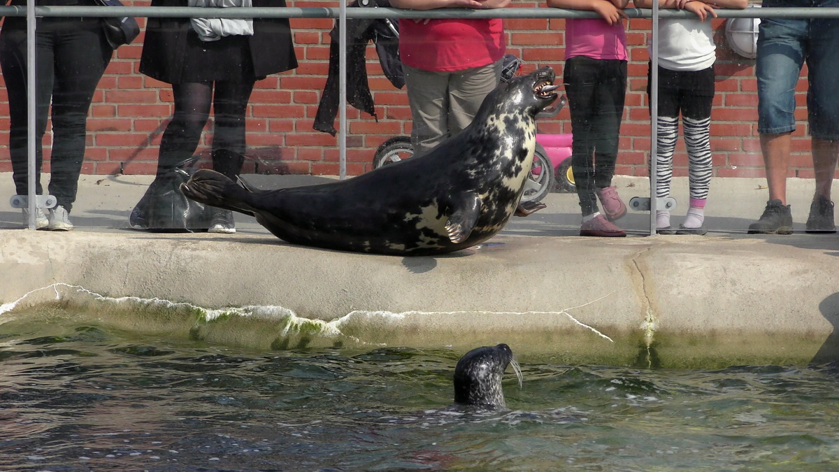 09-12-2015_153924(13)p_Bildgr��e �ndern