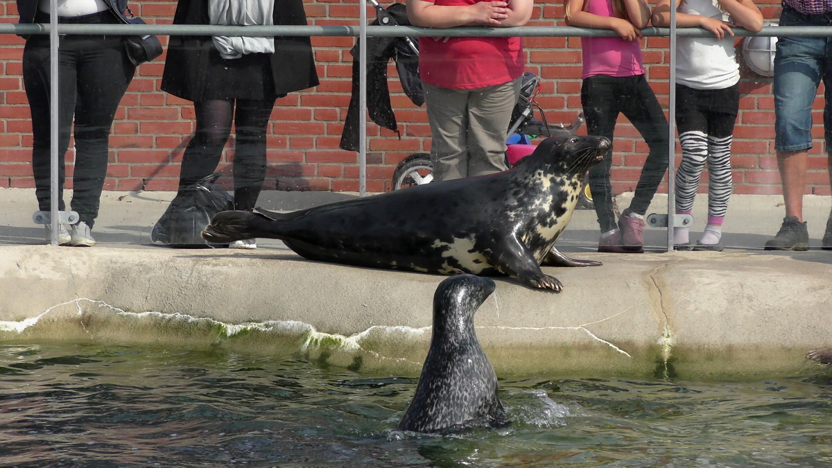 09-12-2015_153924(14)p_Bildgr��e �ndern