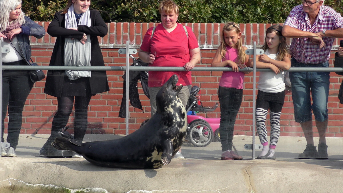 09-12-2015_153924(15)p_Bildgr��e �ndern