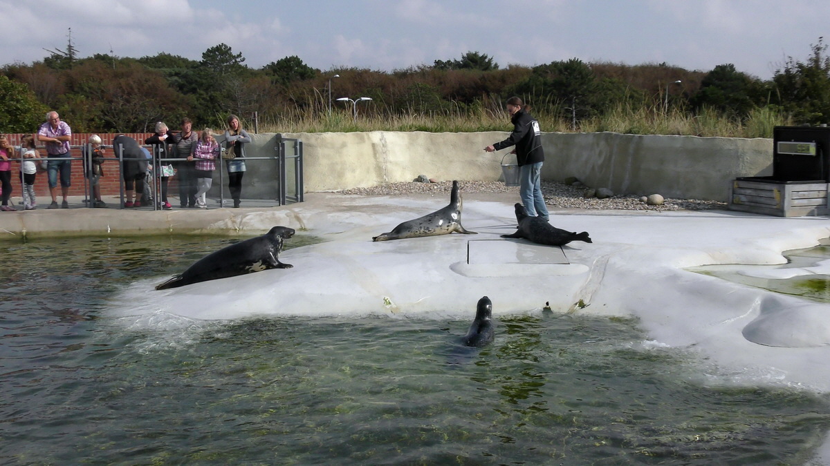 09-12-2015_153924(16)p_Bildgr��e �ndern