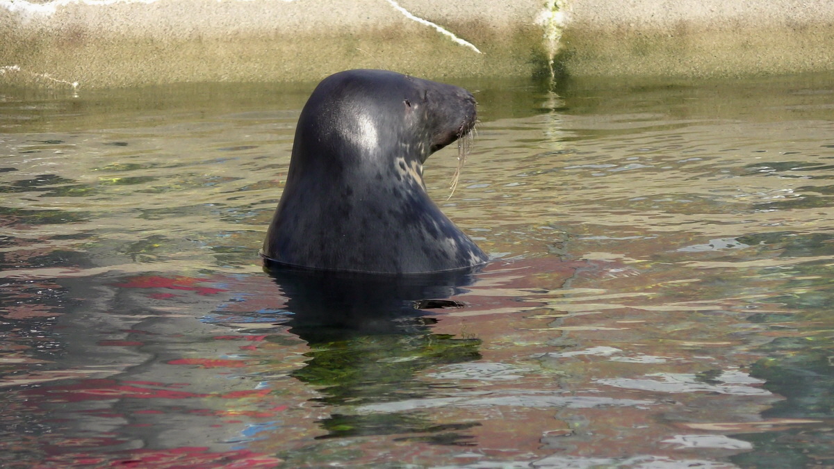 09-12-2015_153924(5)p_Bildgr��e �ndern