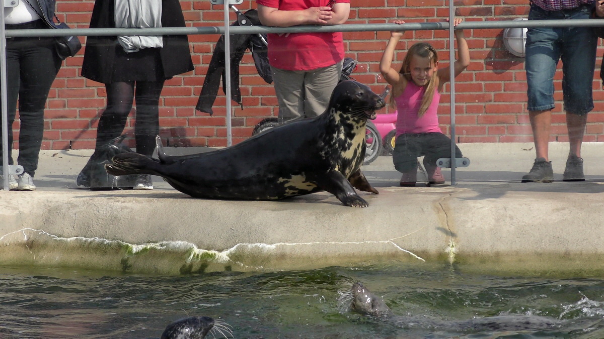 09-12-2015_153924(6)p_Bildgr��e �ndern