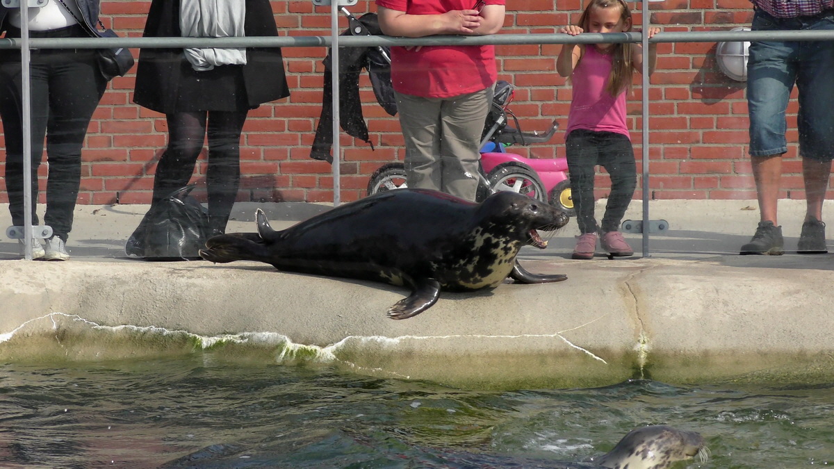 09-12-2015_153924(7)p_Bildgr��e �ndern