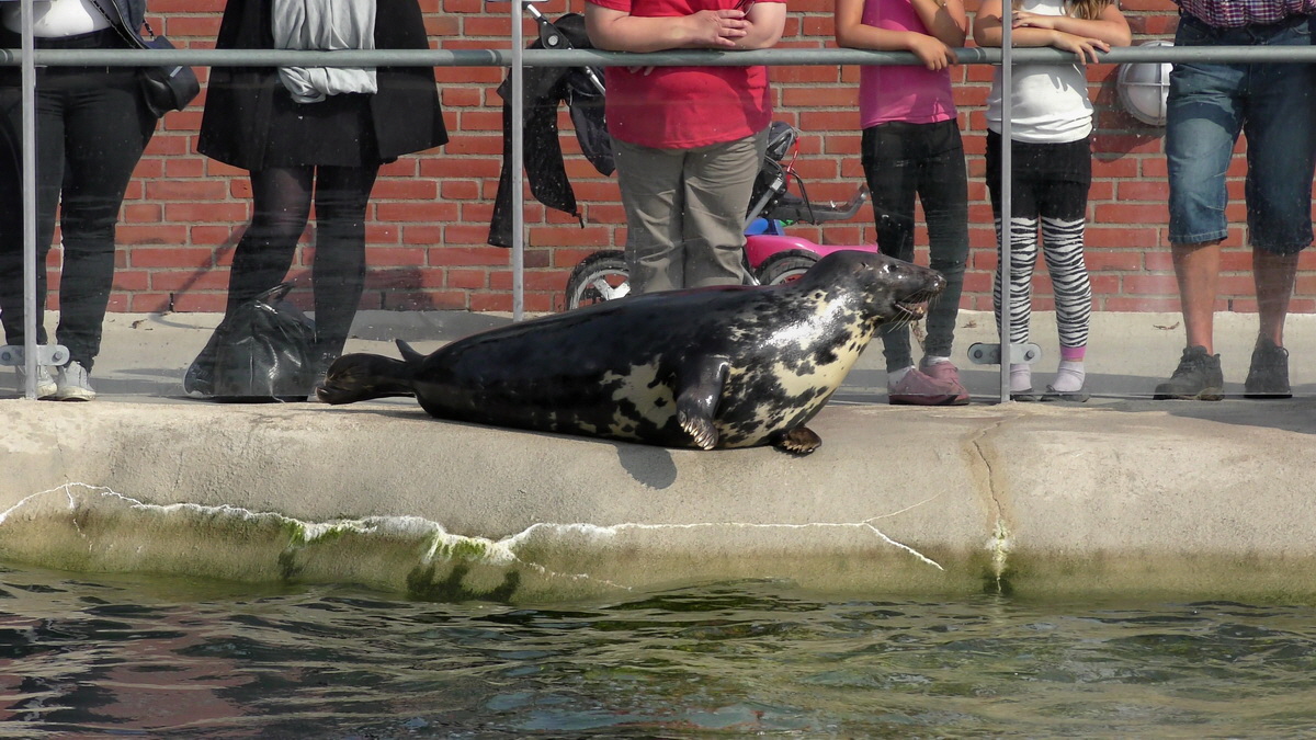 09-12-2015_153924(8)p_Bildgr��e �ndern