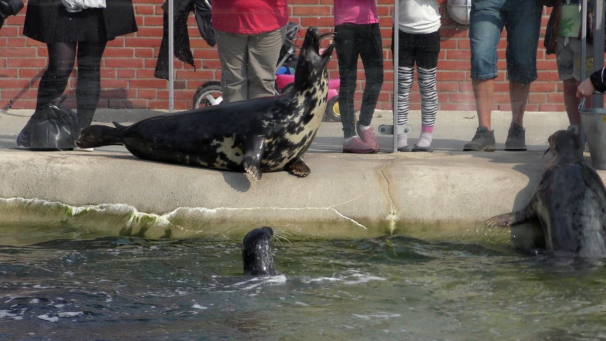 09-12-2015_153924(9)p_Bildgr��e �ndern