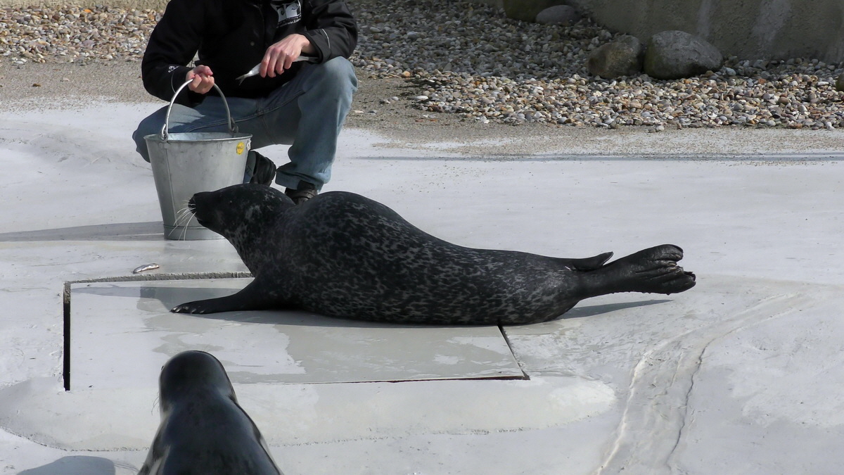 09-12-2015_153924p_Bildgr��e �ndern