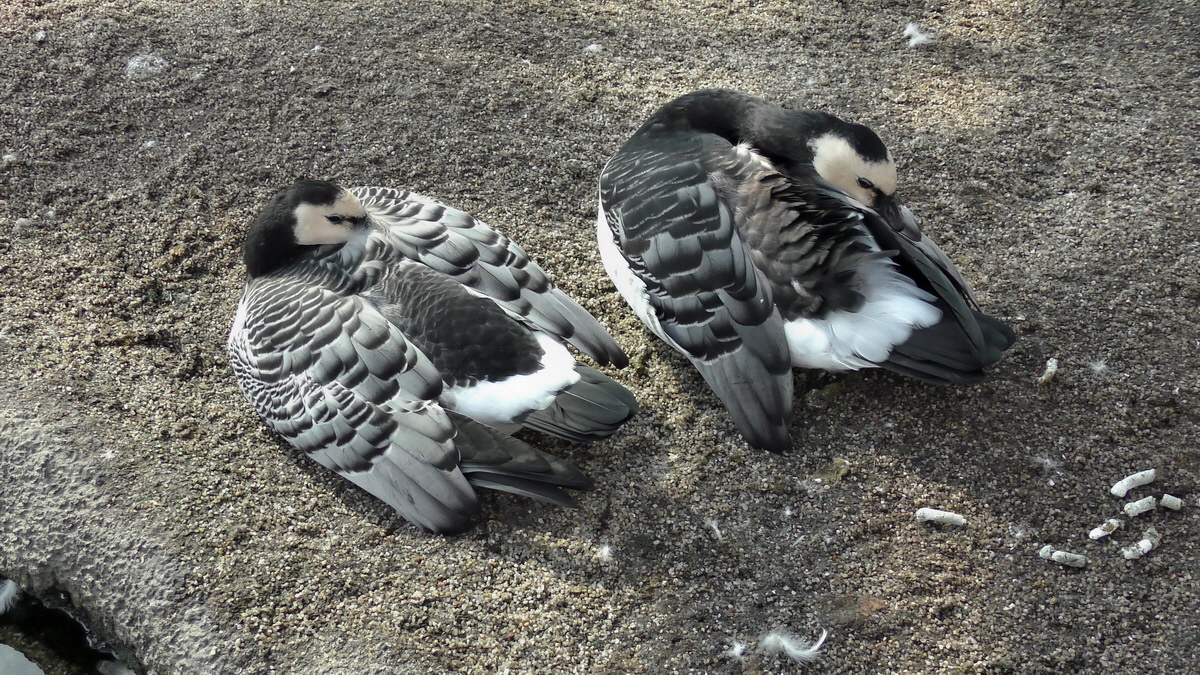 09-12-2015_154646p_Bildgr��e �ndern