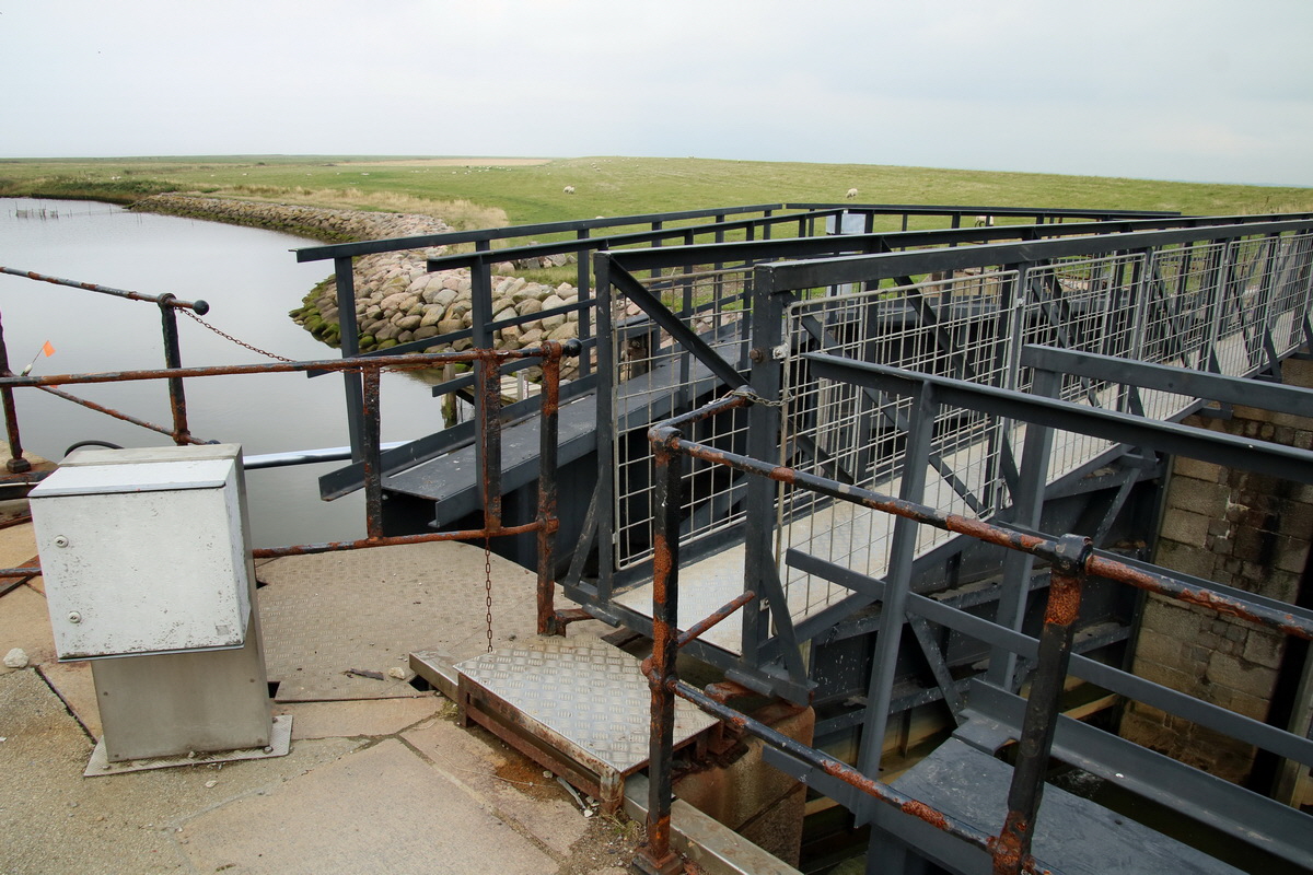 2015_09_13_016355p_Bildgr��e �ndern