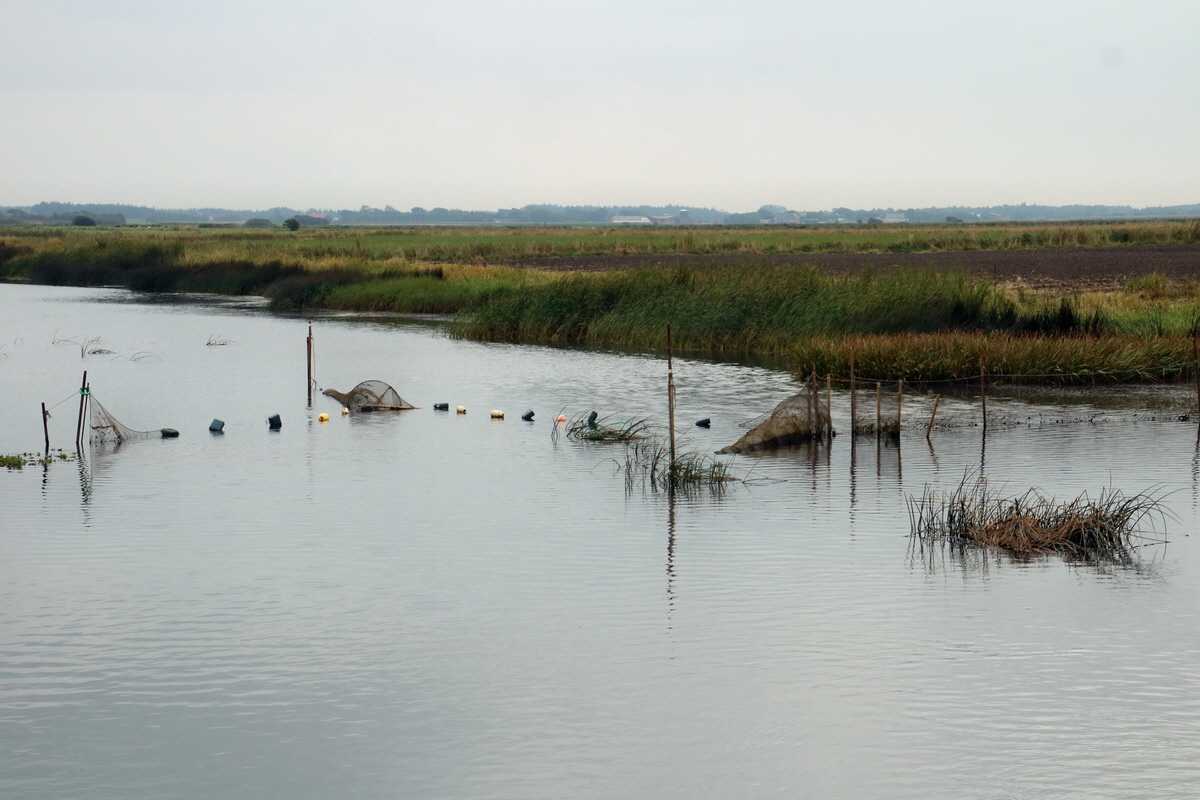 2015_09_13_016371p_Bildgr��e �ndern