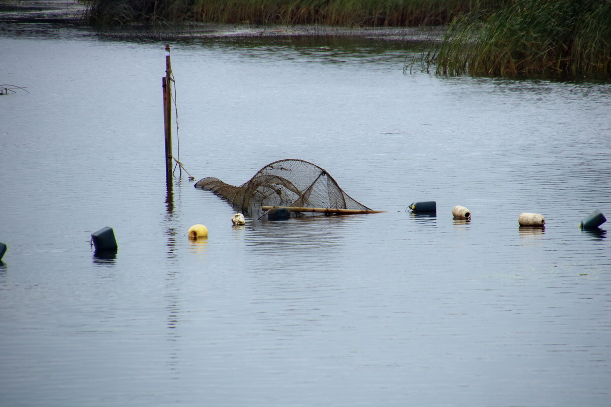 2015_09_13_016372p_Bildgr��e �ndern