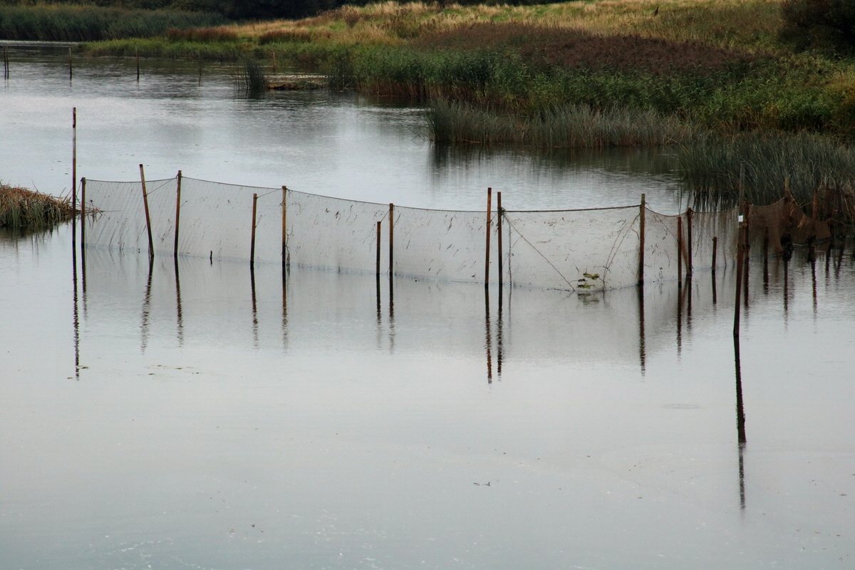 2015_09_13_016380p_Bildgr��e �ndern