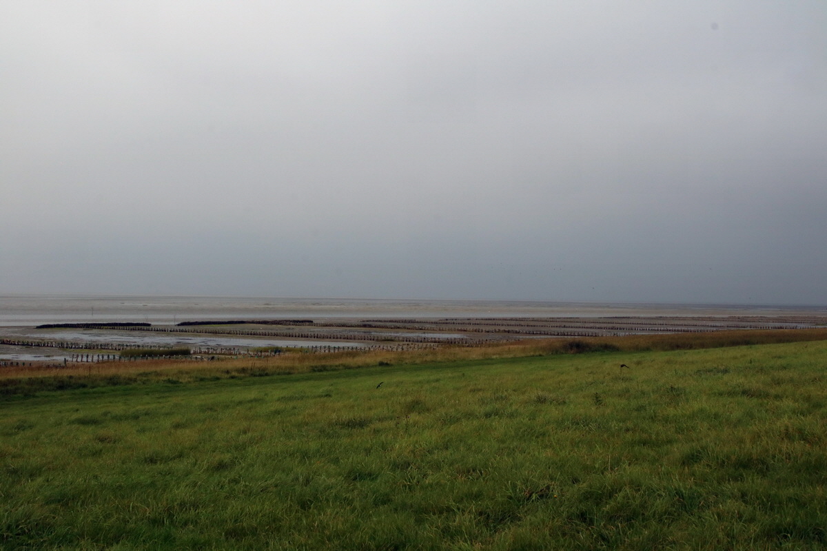 2015_09_13_016153p_Bildgr��e �ndern