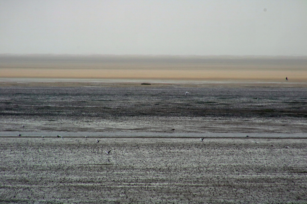 2015_09_13_016158p_Bildgr��e �ndern