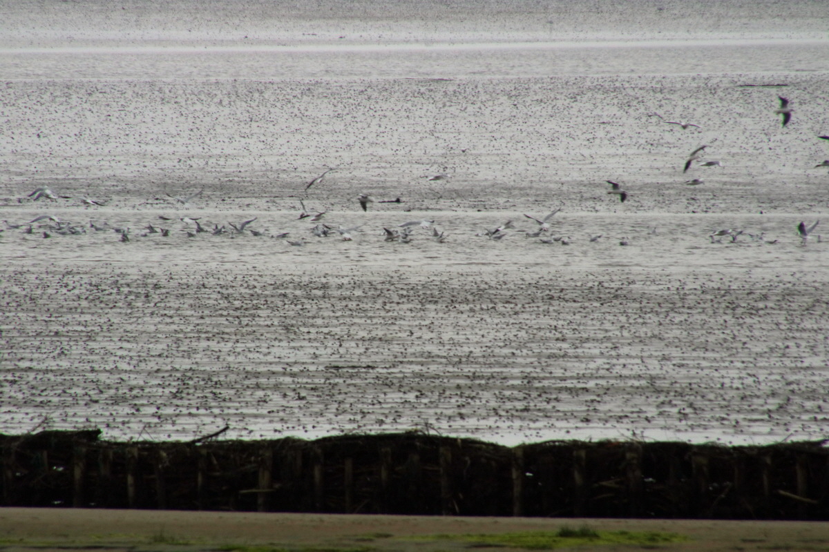 2015_09_13_016160p_Bildgr��e �ndern