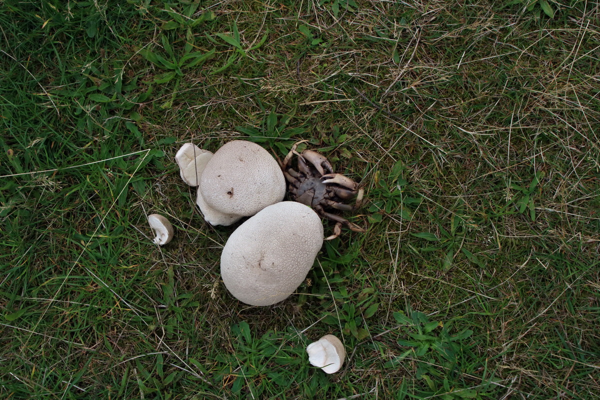 2015_09_13_016169p_Bildgr��e �ndern