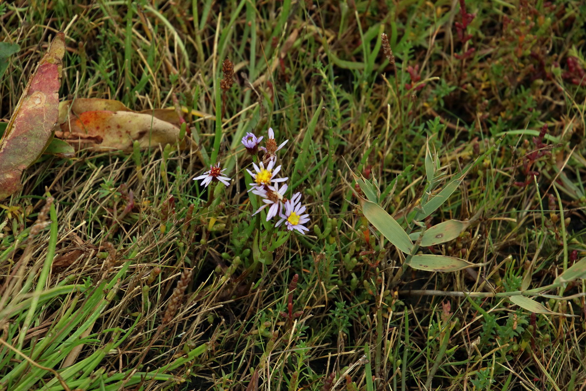 2015_09_13_016173p_Bildgr��e �ndern