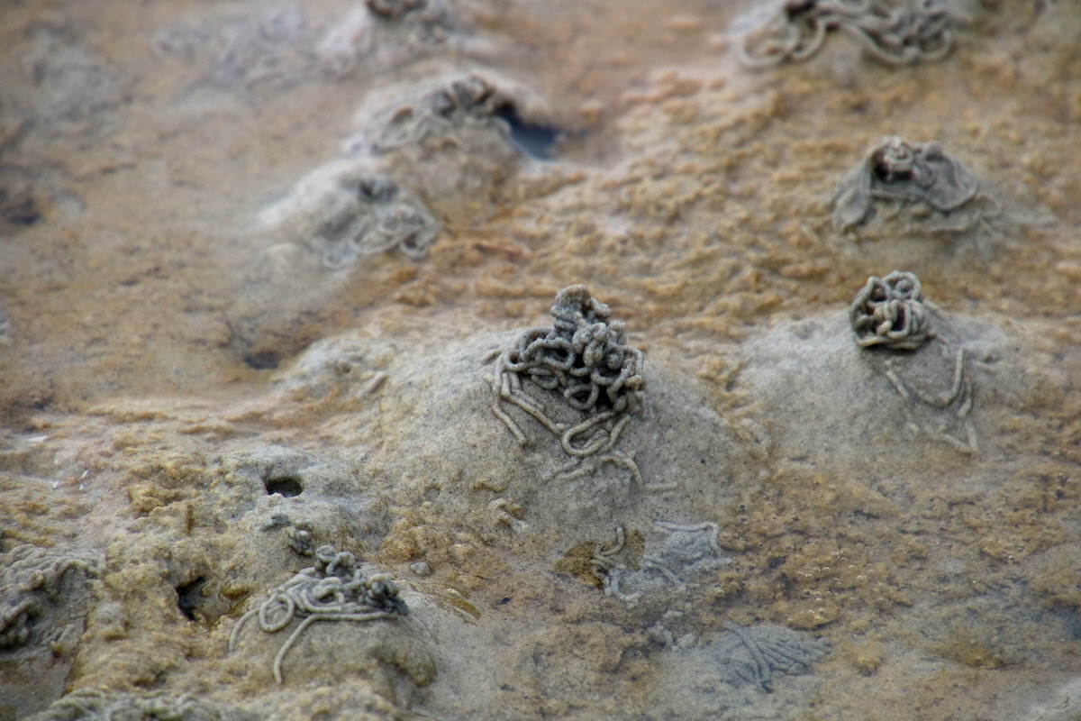 2015_09_13_016176p_Bildgr��e �ndern